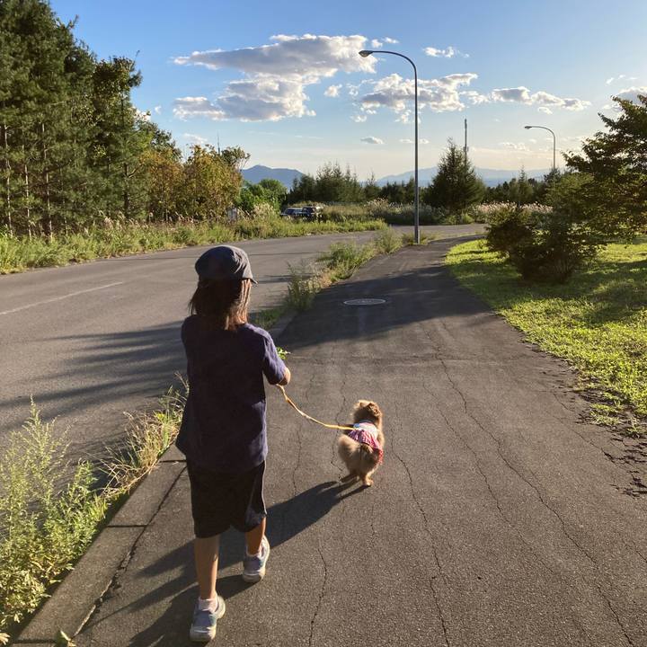 589f74ef ef64 4b6d b63b 89c646595235 1696127055313