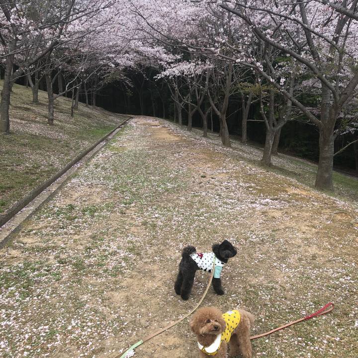 589fd681 17f7 41c4 9cc7 bdd06a7e5af6 1617363147451