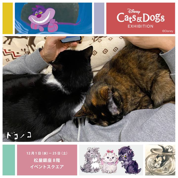 589fe7df fd98 4f7a ab7f bc7fc7c00ece 1638360292544