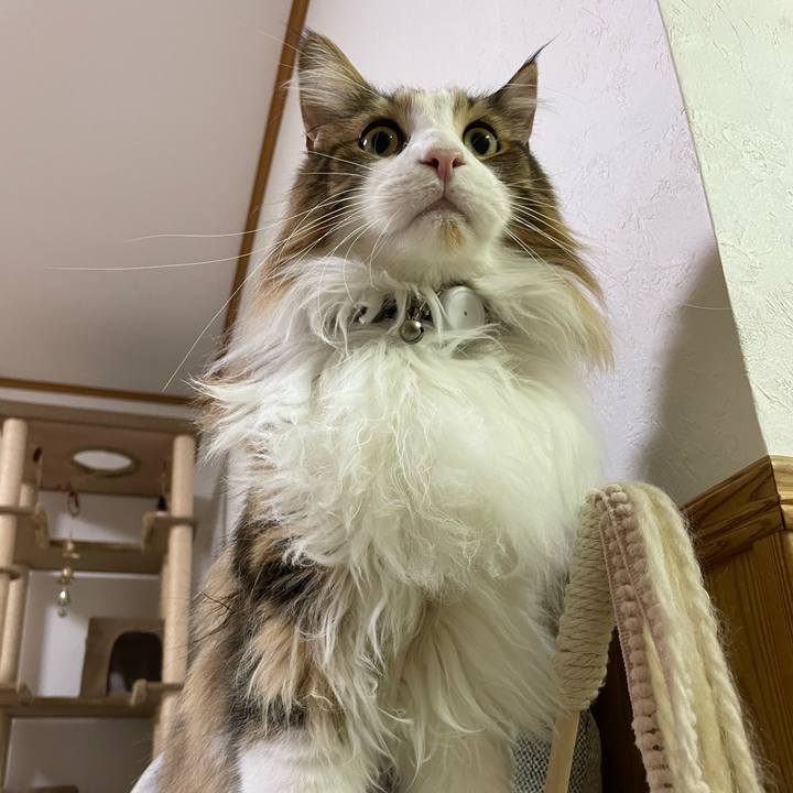 589ff672 23b8 4d5a bce3 e8fcb163b318 1675022780520