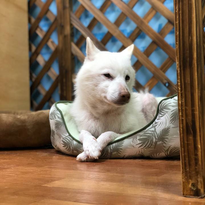 58a024bb 84ed 4520 a31e 26a7c5bbac56 1747136848806