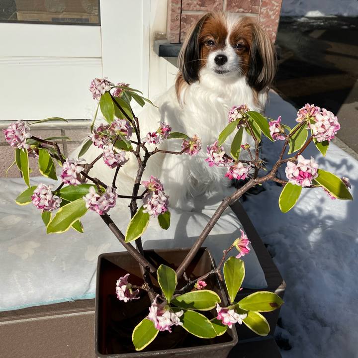 58a03c87 abfd 42ef 8c71 856f804bfdf5 1740020364061