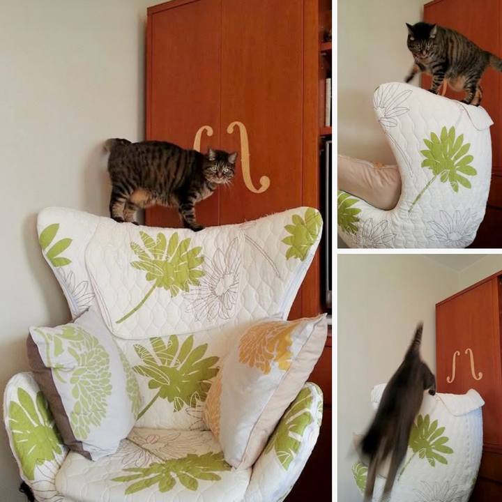 58a03ca0 26da 46e0 818e 73a0fe645327 1773456506193