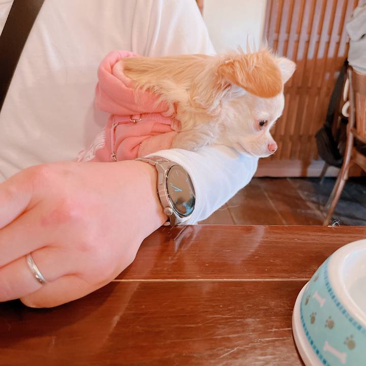 58a052e0 af7b 404c b469 0bb4edd113db 1675599573103