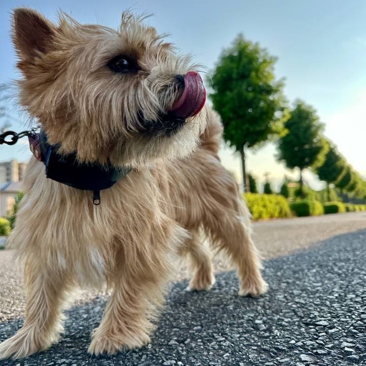 58a05b70 f07e 442f a4cb fe4c253f2bf2 1751142810979