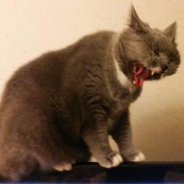 58a08652 a5d2 4bcb 8652 bab1012dc14a 1562060354092