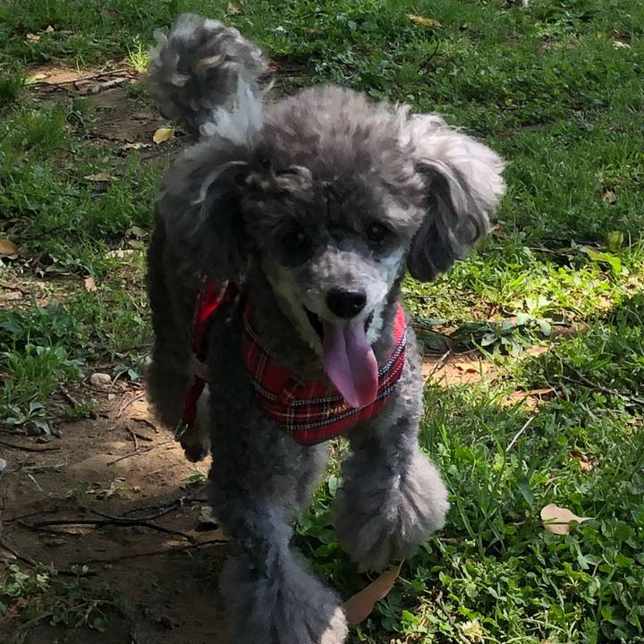 58a0ae4a 3e80 458c 9f86 a682c6634d26 1525263041809