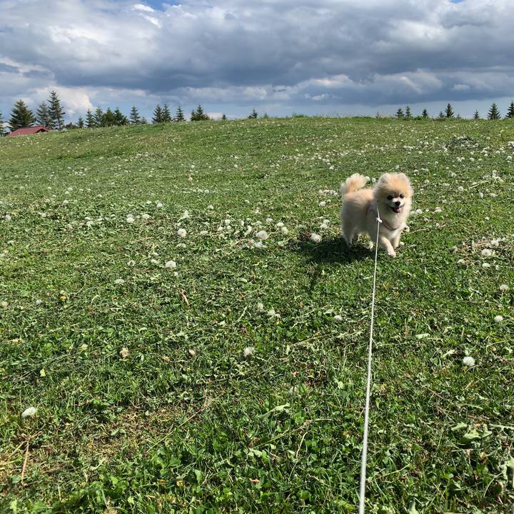 58a0e16d 57e8 4884 b406 c3d54cc556cb 1685532997963