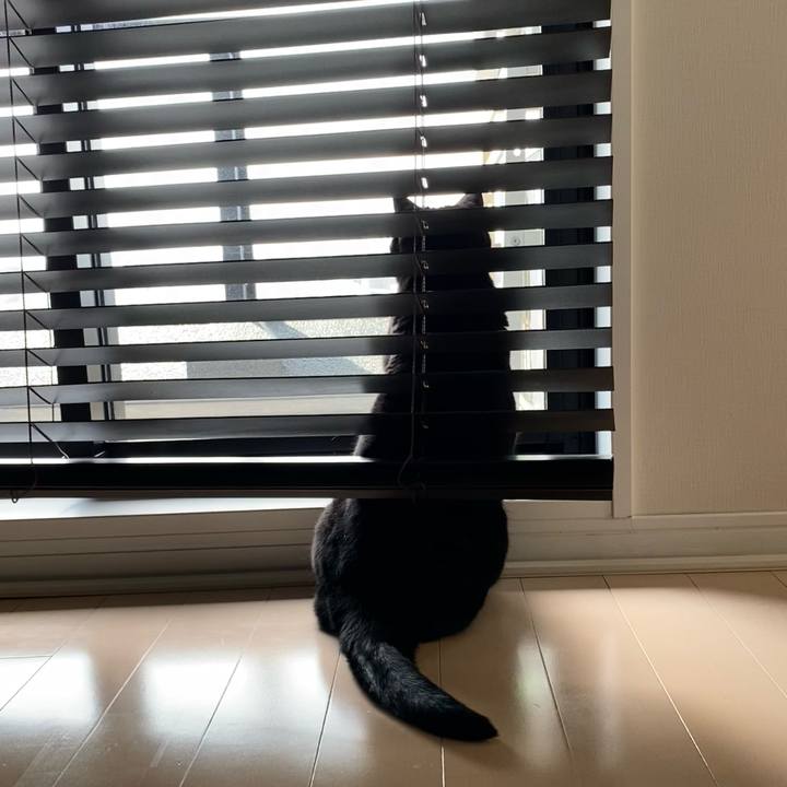 58a12653 b9e5 4a3d b993 a1e2c5b63205 1745132724153