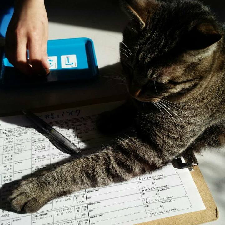 58a12c00 47e0 446b bde2 f245fdec2cb3 1520036647150