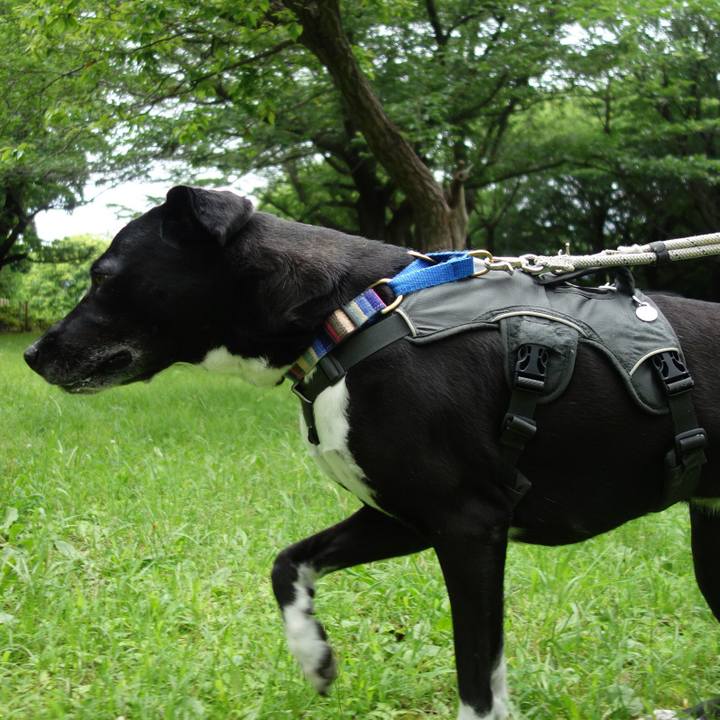 58a1322c 4aa6 490f 8f5a 376f5e1bf8e0 1655168327927