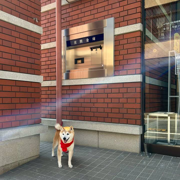 58a15f5a 82e2 43af a48d a7526e0dd3b7 1742640749404