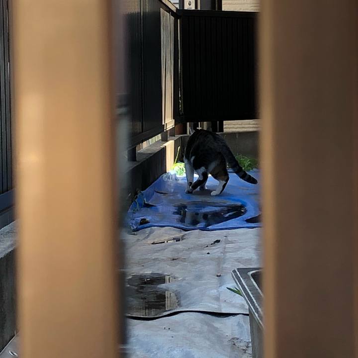 58a16273 3b84 4f97 9197 b62a35bc8fb0 1554388759078