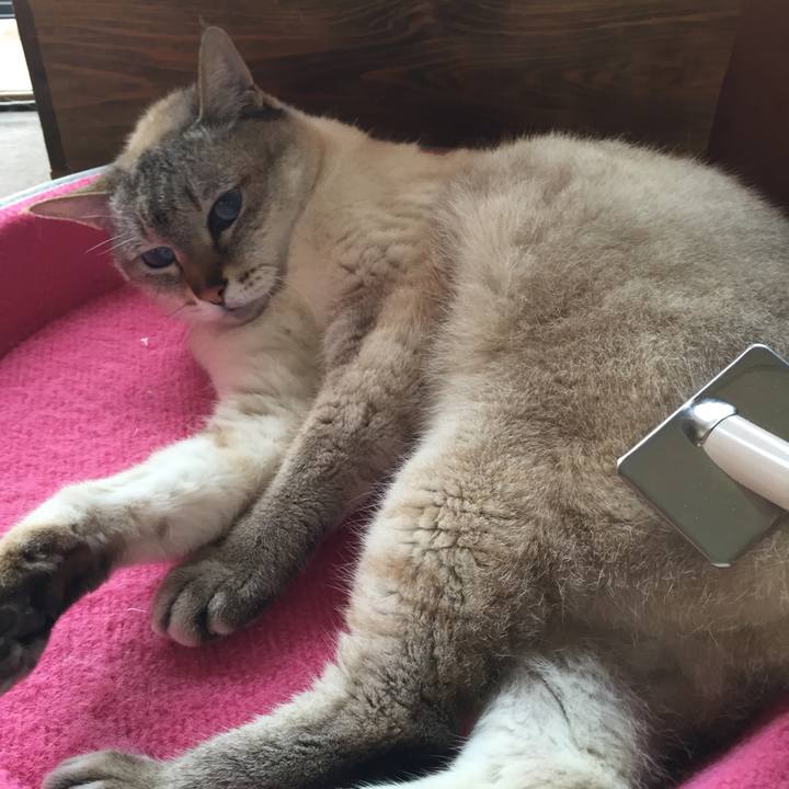 58a1f1b6 deed 46a0 81e6 b4dd8fa9349e 1528334216184