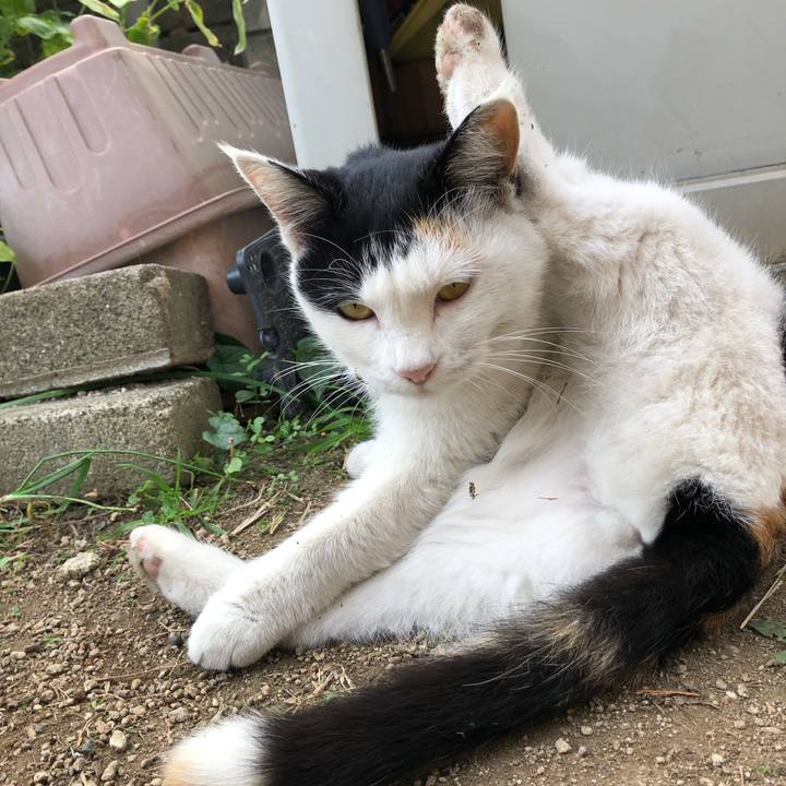 58a1f6be 20f7 4cfb b8c6 798e6c2d3b19 1606005612319