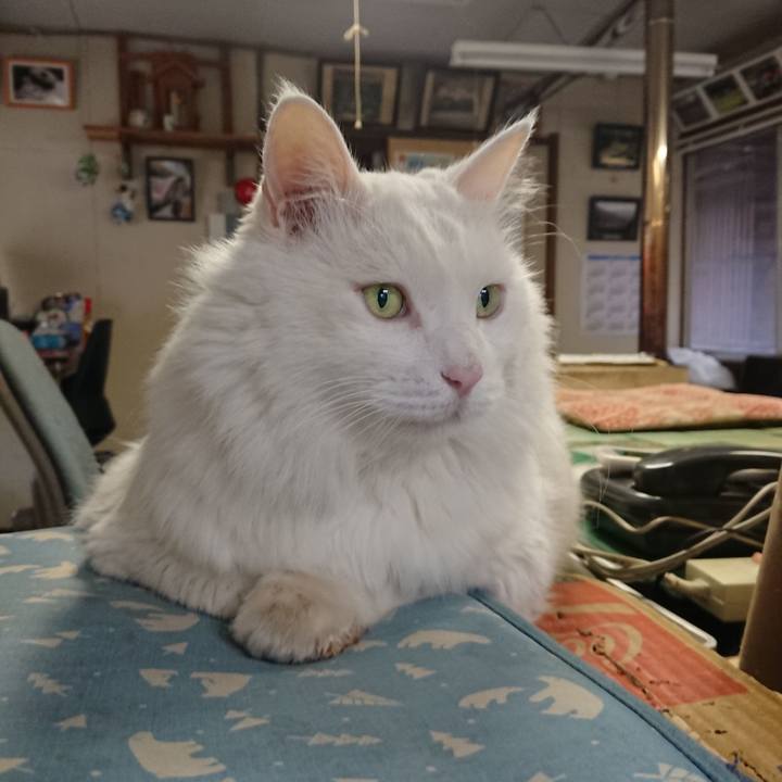 58a22997 cf09 4d6e b112 35211a9f3d78 1571264803588