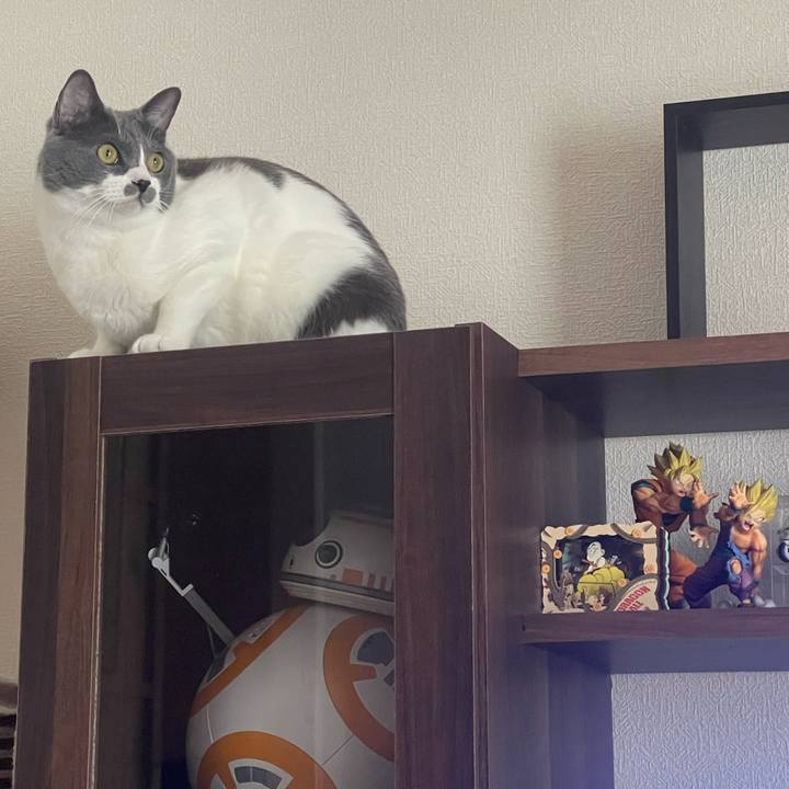 58a25abb 07e7 4750 9436 5ab2fce46f81 1663545777924