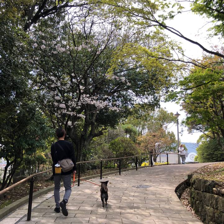 58a25eeb 76cc 44d5 bc2e b86f634e952e 1680612416826