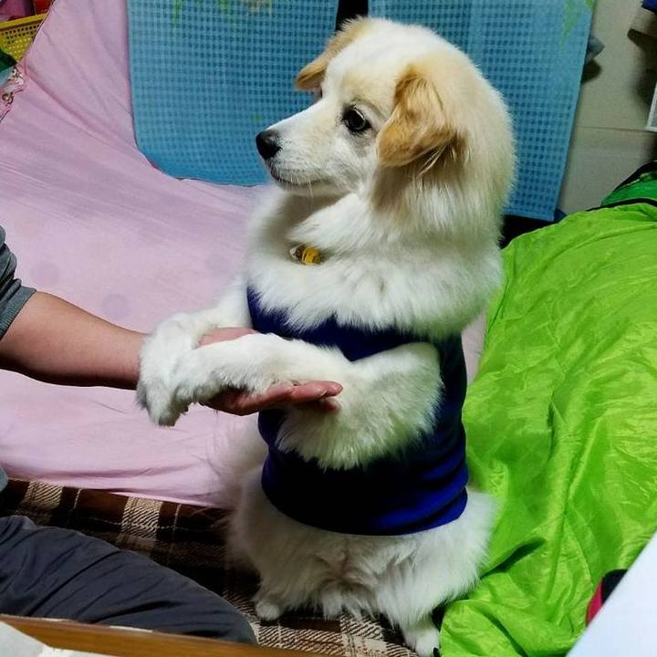 58a28c40 20f5 494a 8175 69298e1e2659 1526810991051