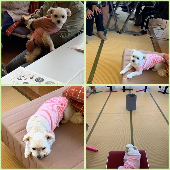 58a2921b b070 4e1e 9dd2 0750671e0a6f 1571376720658