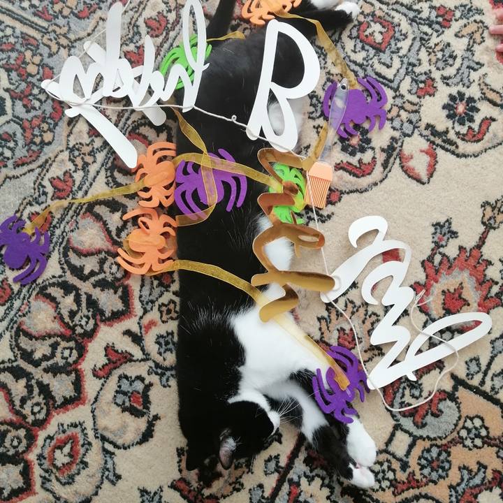 58a2c599 a3d5 4aa4 8deb 5a8cccb95125 1598282529214