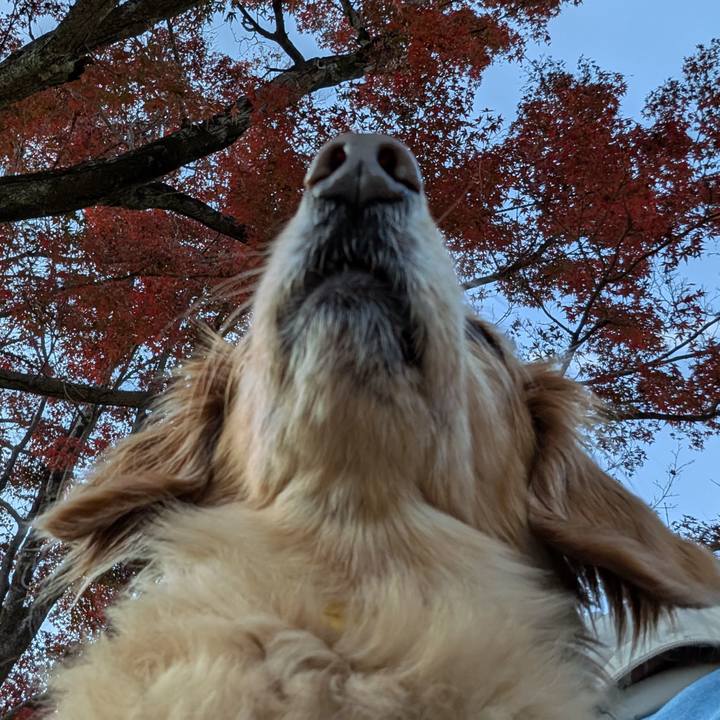 58a2cbe7 5038 49ad 89fd 28da9ca7d691 1763908709070