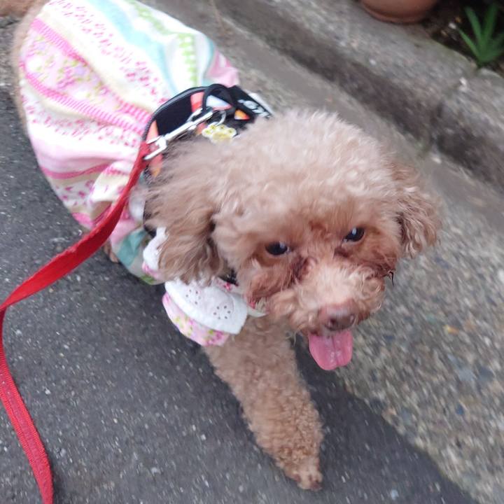 58a2e34f 6d6f 4ab5 8c3a 30f45273dafc 1746963077254