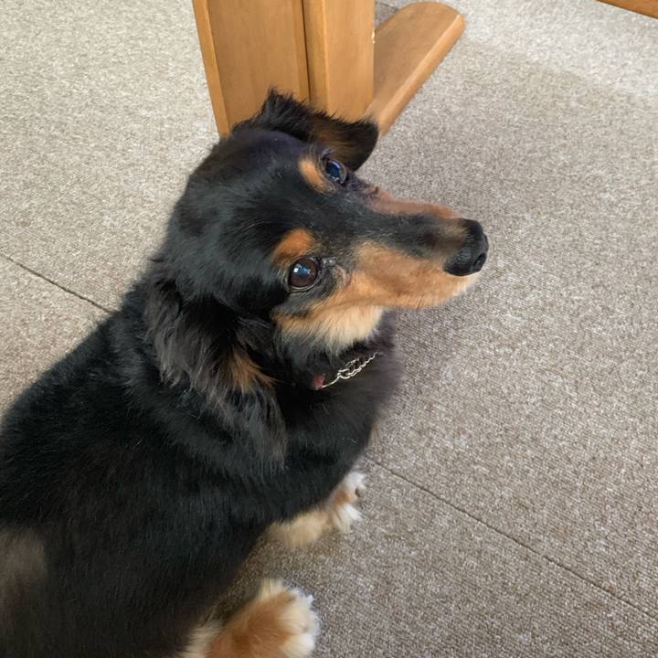 58a31b7f 4065 4f2a 94be e9255d2f58cd 1565992145602