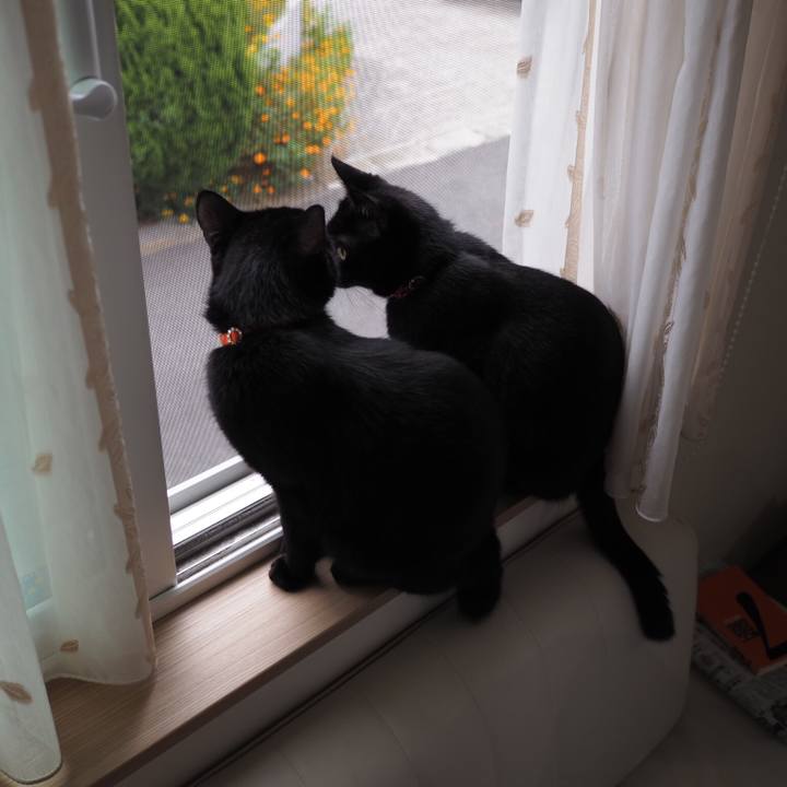 58a33308 eedf 4bf2 a858 3534b350441e 1535811231828