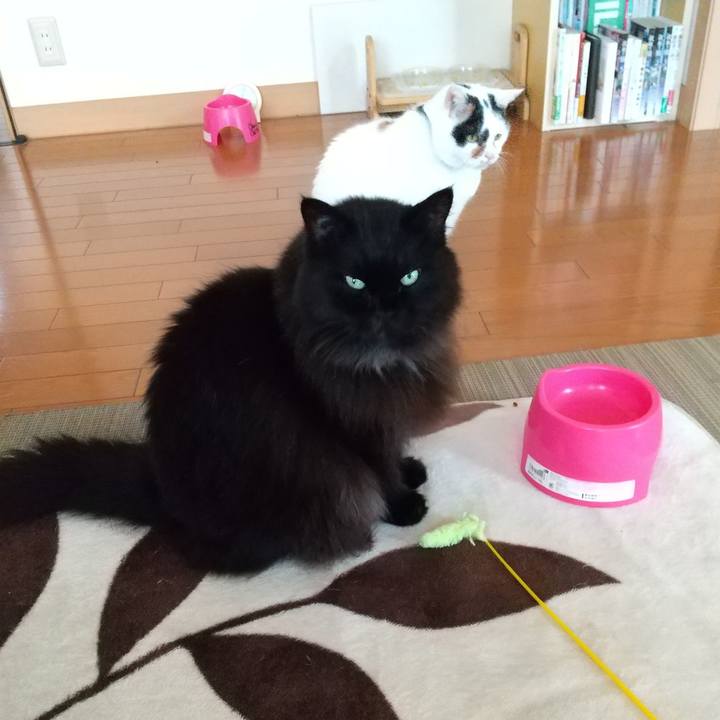 58a356dd 5d95 4c18 850c 3a0e0bc6f662 1601246443359