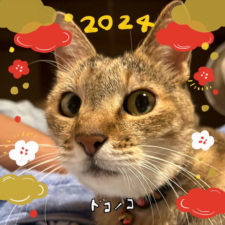 58a36eaf 3b04 4171 8b28 2da57564718f 1704097422753