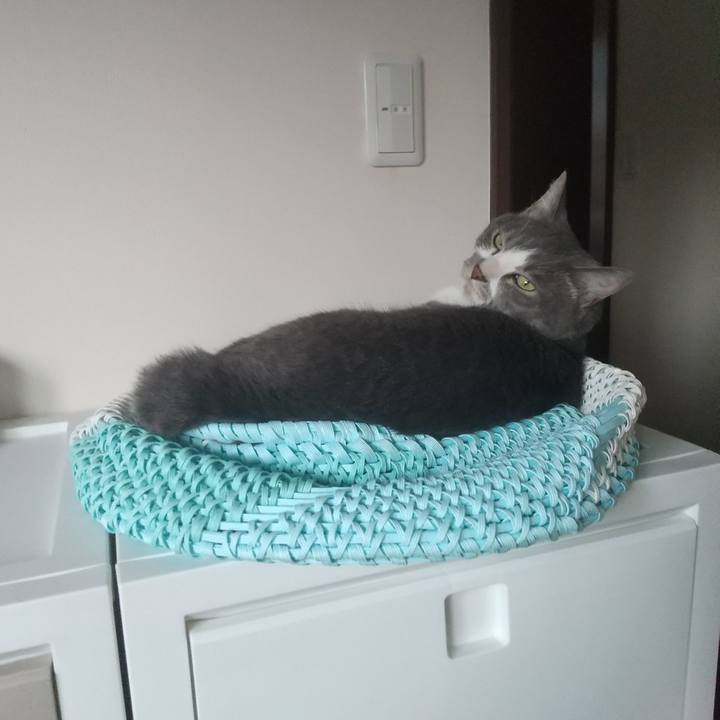 58a3e937 e52d 4ad3 9079 2b0279246e53 1651746739874