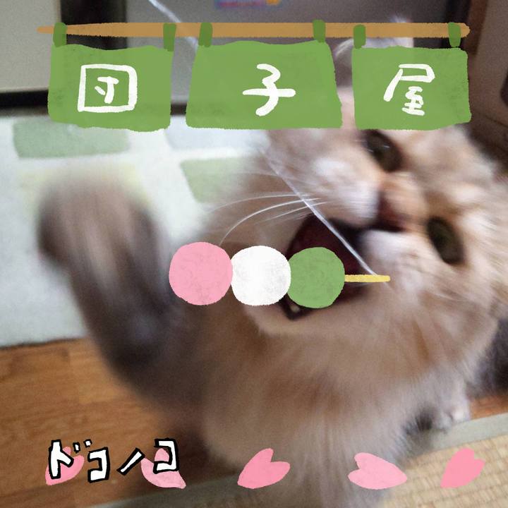 58a3fdc6 d148 490e 8102 26bdb682af43 1712716768600