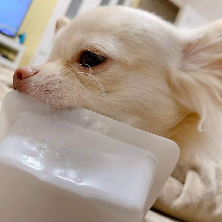 58a43050 408f 44d5 aed0 98cb4178ecf9 1610016376874