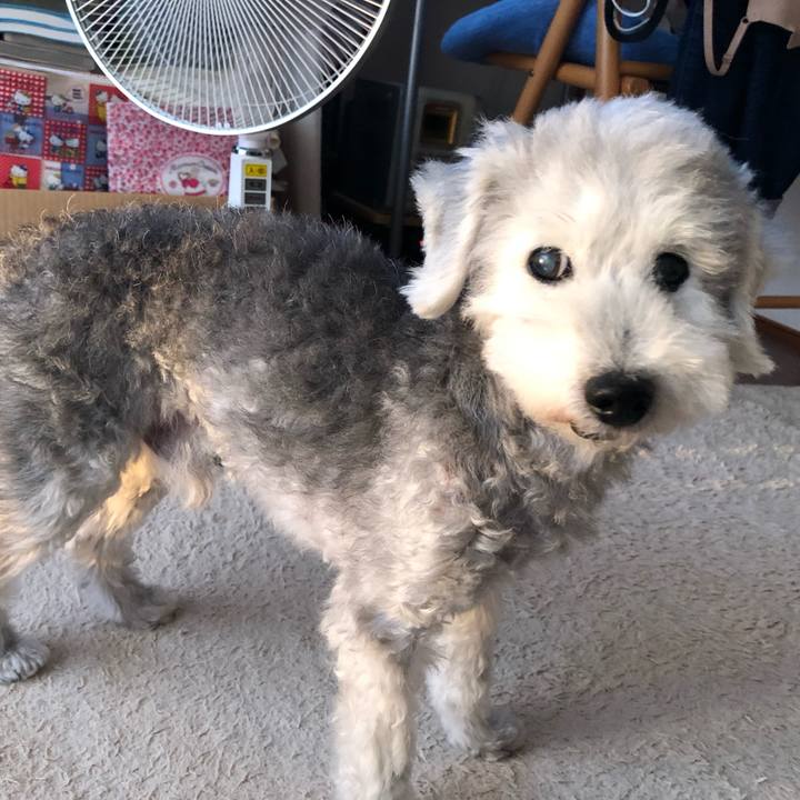 58a441f9 8919 46ea 9689 192c154adc50 1661759633112