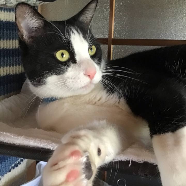 58a4589d 9e90 487f aefe 16c4d35f0af3 1735614039672