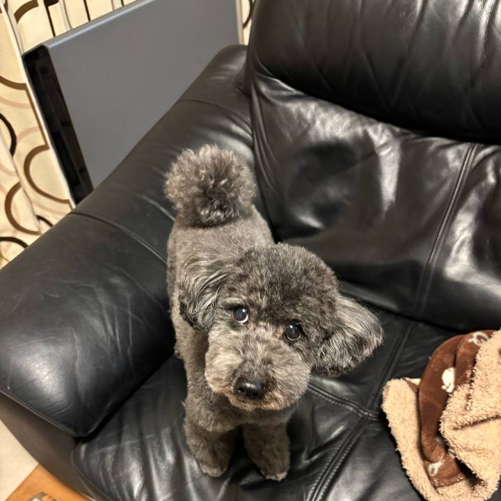 58a467d9 8672 4a81 a9a1 6f23970c82f2 1735564483896