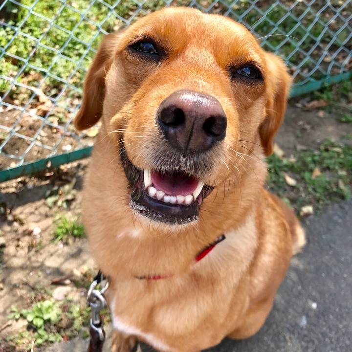 58a49438 00c9 42de a20e 97170209cbce 1553768780999