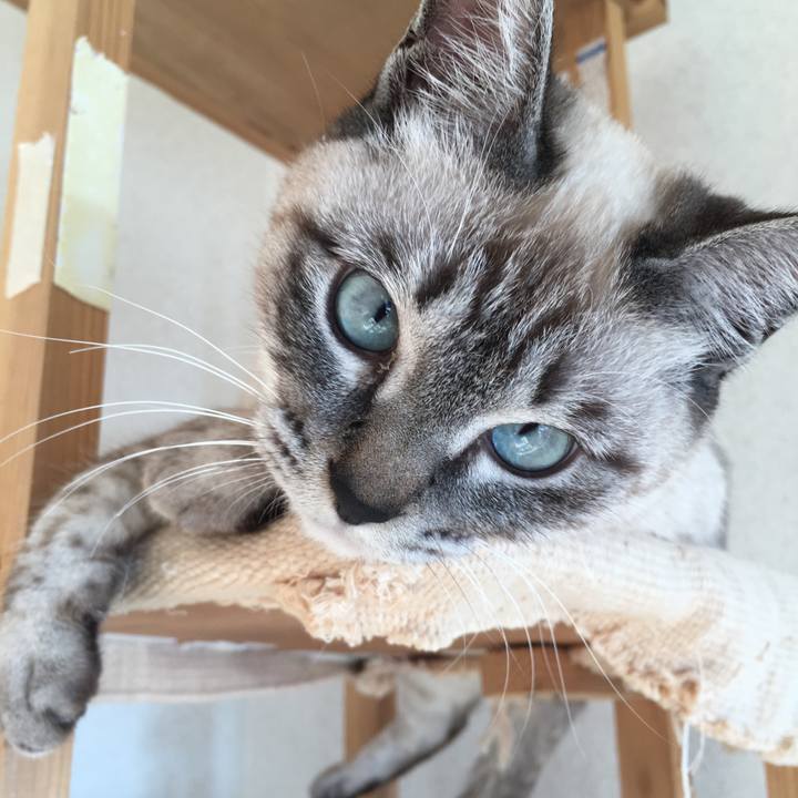 58a4ec62 9eef 4e88 b45b 1a1737f73281 1549929870950