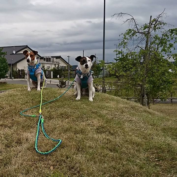 58a4fe96 1168 4008 864e 3a93ad053355 1556511539573