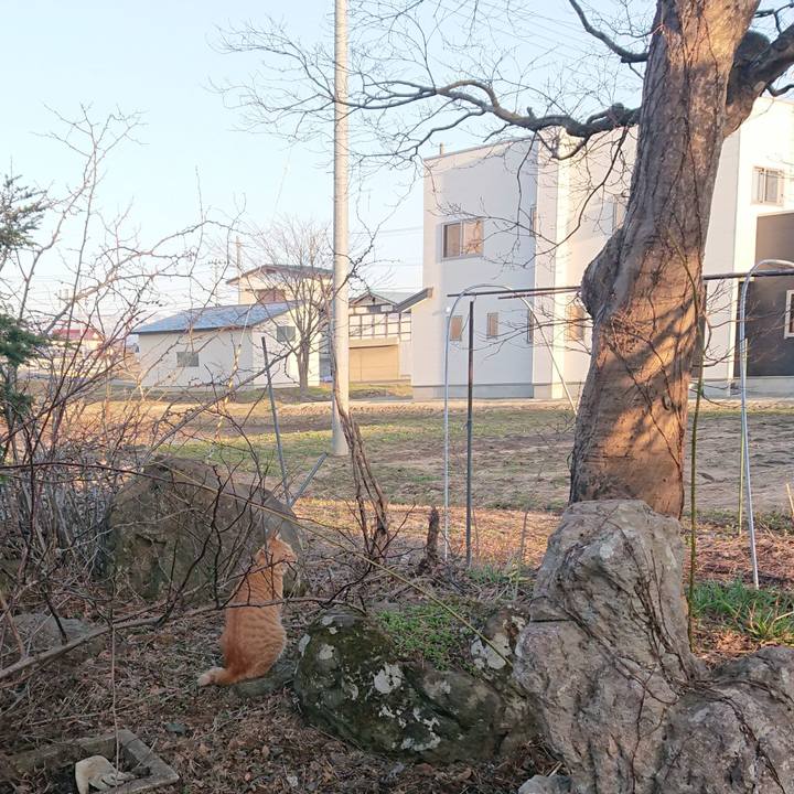 58a50449 bdf0 44f0 80fc b6f038314905 1649407635691