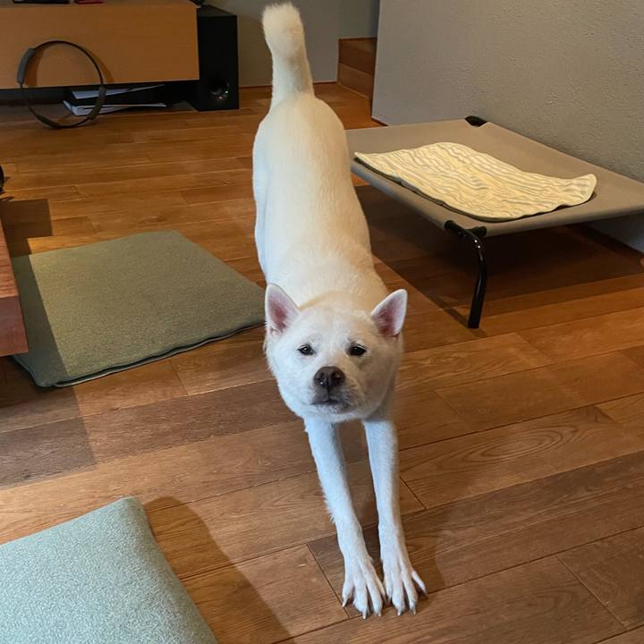 58a52907 d06c 429a a1d2 23629a646533 1697541596617