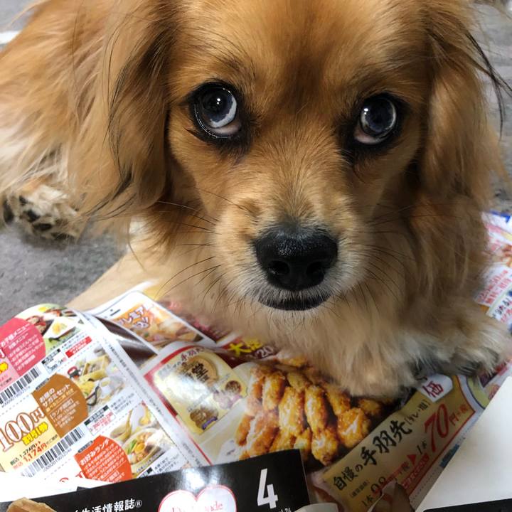 58a533ff 92eb 458e 85dc f053f38129ed 1553206699797