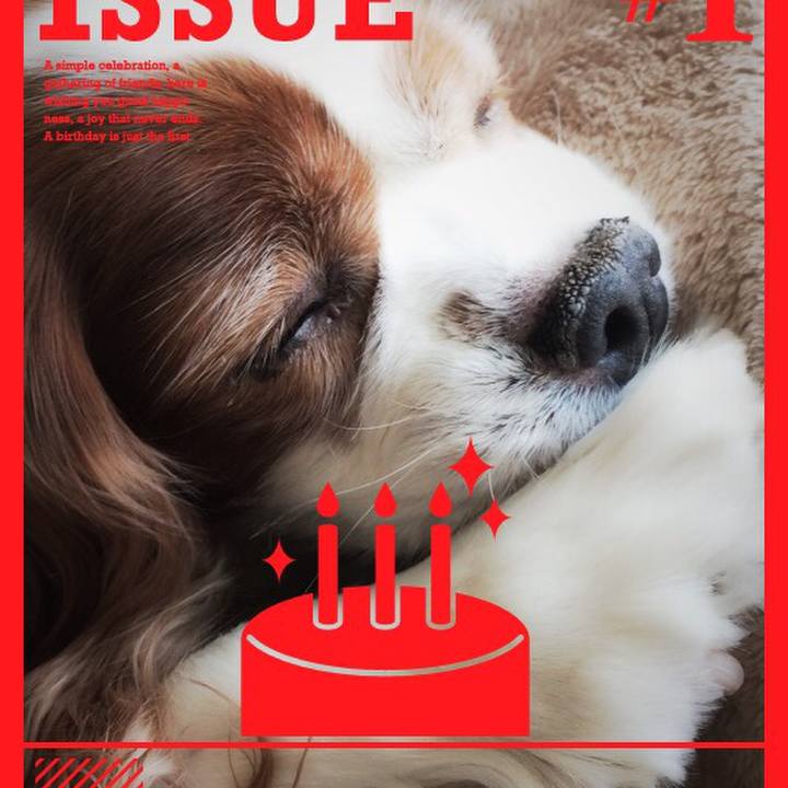 58a542b6 3570 4419 a2e6 3f11029a5461 1510717687786