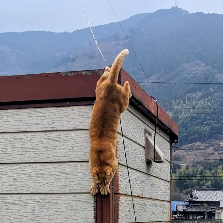 58a58a8b a840 405c be8e 95b95dd37041 1771140910264