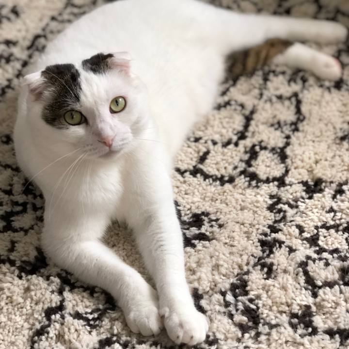 58a5e29d c80b 4954 bae4 fd772937e4c3 1560643585661