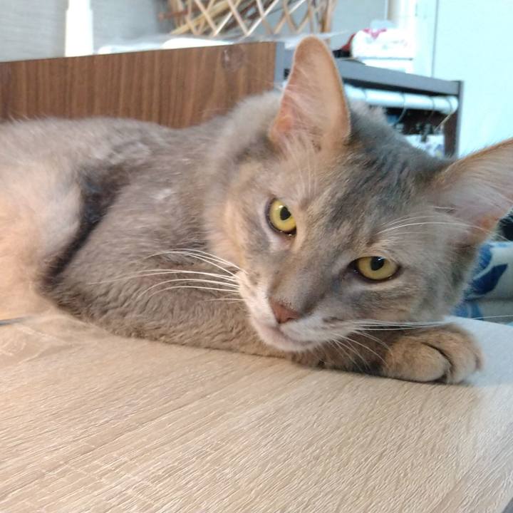 58a5e9a1 aacc 4d53 b247 fc7c64406857 1595249465065