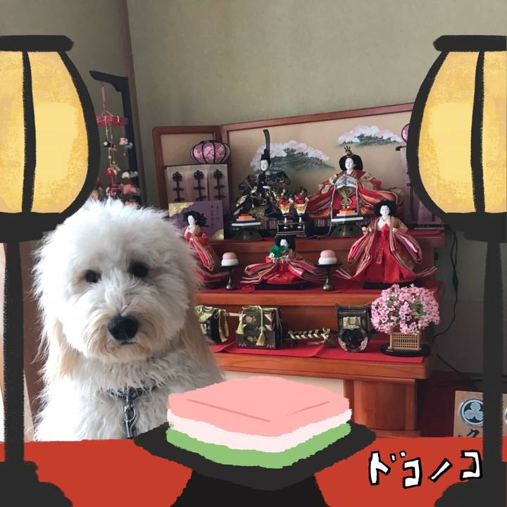 58a6211b 139a 4b4e 91fa 1d41661d7500 1741164604698