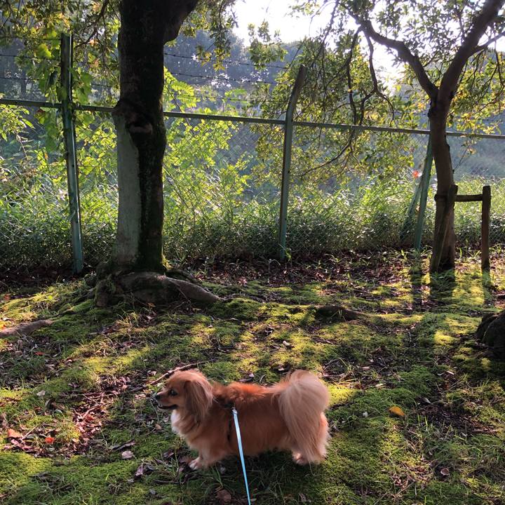 58a625dd fc3e 4ffc 96dd d232f56afd89 1566168765099