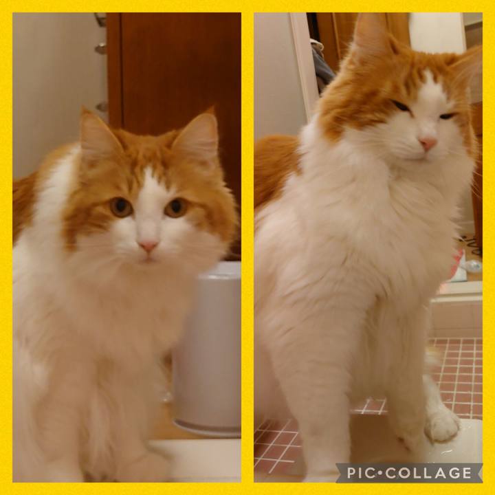 58a66cde c010 43ee 84d2 c3b6b75d2bda 1640167399907